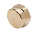 BOUCHON FEMELLE JPG 1" NF540 BOU115 8245301