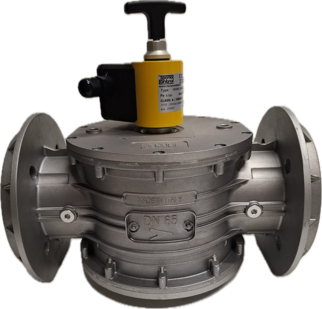 ELECTROVANNE RM DN65 BRIDE N.F. <6B IP65 230V ENTRAXE 350 ELV316